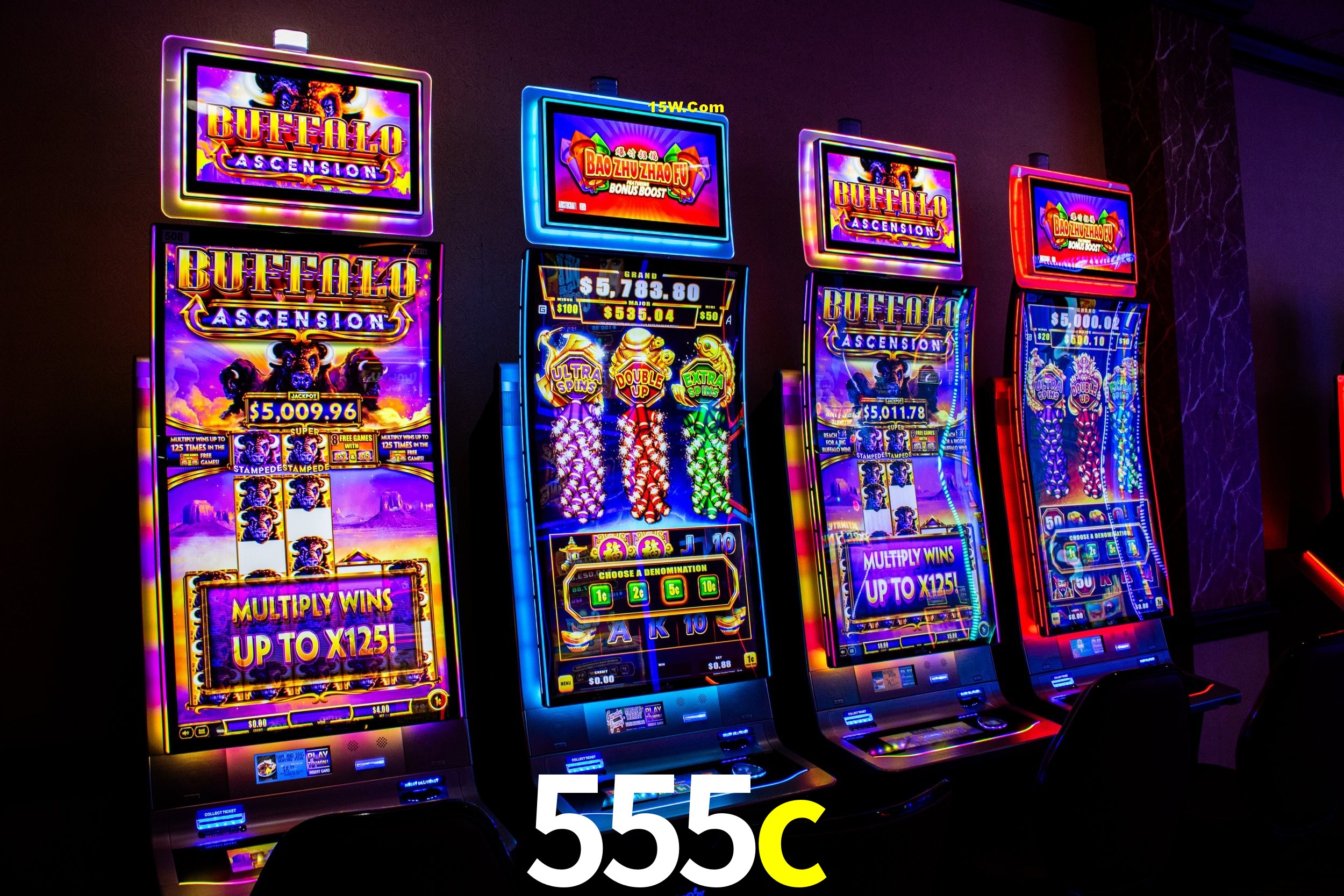 Player Reviews 555c